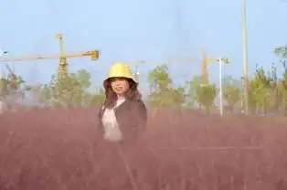 少女心爆棚,郑州的秋天竟然是粉红色的,网红粉黛乱子草梦幻来袭
