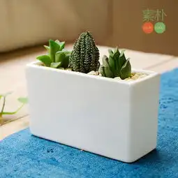 简约高款长方缸扁高白色陶瓷花盆多肉植物堆糖,美好生活研究所