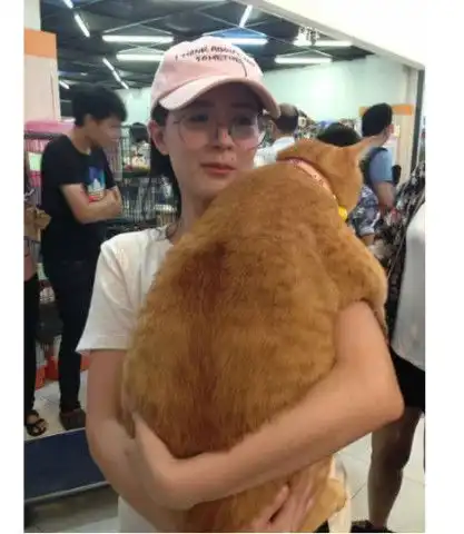 男子带着橘猫参加展会,中途接个电话请美女抱了一下,结果这画面