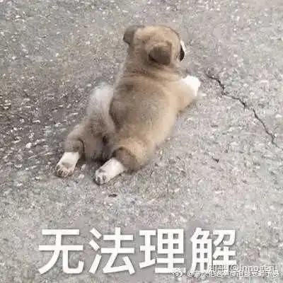 孩子,唯有吃铁拳,方可长智商