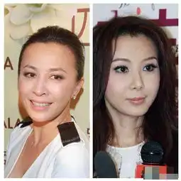 同龄女星惊悚对比照林志玲完胜徐静蕾图