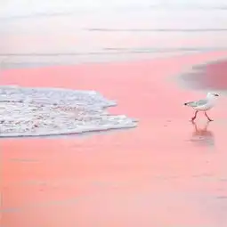 唯美微信朋友圈背景图