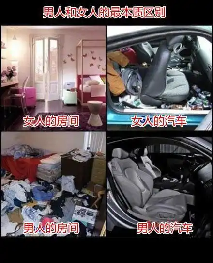 我的收藏