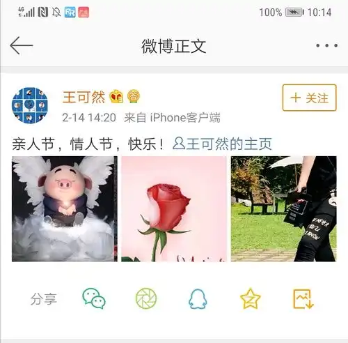 我的收藏