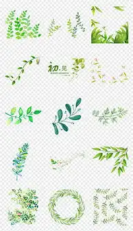 eps插画花卉eps格式插画花卉素材图片eps插画花卉设计模板我图网