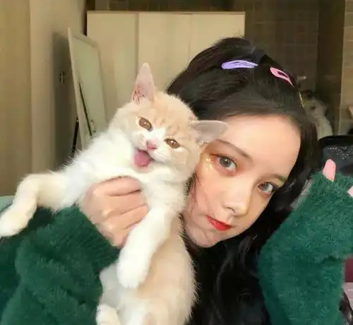 抖音霸气很酷的句子爱就疯狂,不爱就坚强