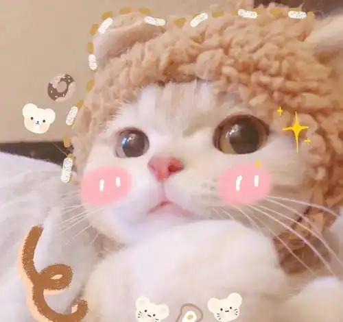 聊出来的感情,不聊,自然就淡了