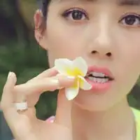 微信头像梅花带字微信头像图片大全