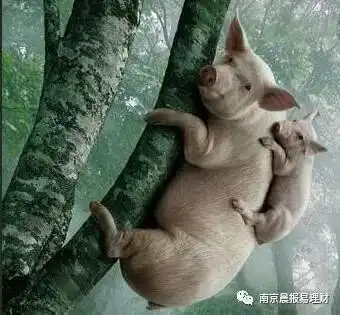科创板渐行渐近投资如何接轨