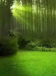 你已远离江湖,江湖还有你的传说