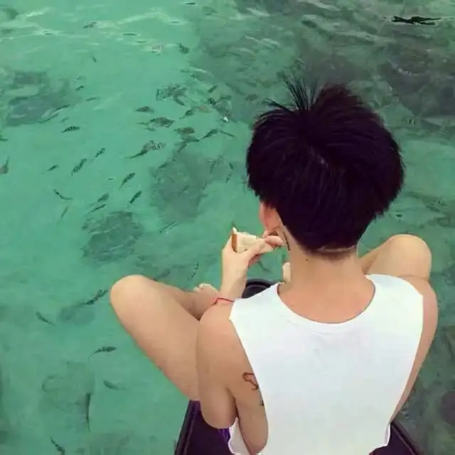 一些有趣的头像,你喜欢哪种类型