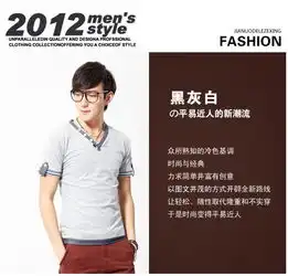 乐则行夏季男装短袖t恤男v领时尚休闲潮男t恤sy6880