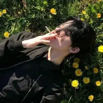 每日头像