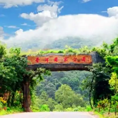 普洱景点最值得去的地方排行榜普洱必去景点有哪些