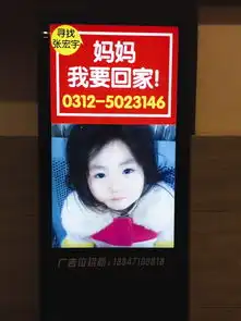 内蒙古女童保定走失三地火车站发照片寻找家人