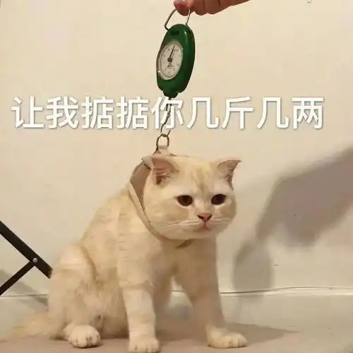 qq空间搞怪又沙雕的文案