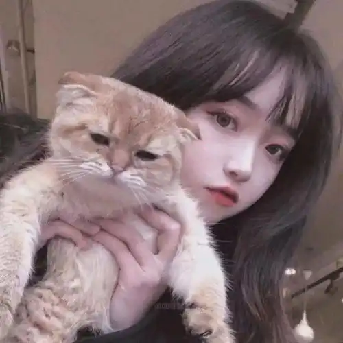 头像图片丨女生头像丨可爱的猫系女头1214