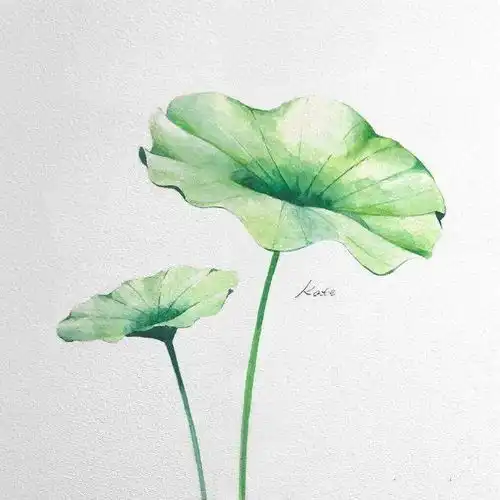 小清新风水彩绿植花卉
