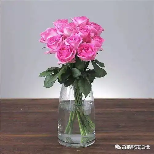 苏醒玫瑰初恋花,少女白净面庞上醉人的红晕,像极了爱情