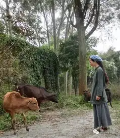 惠安女独自隐居深山,好多人跑去围观