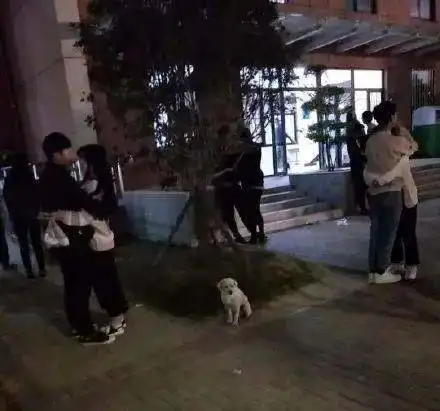 女生宿舍的内衣频频失窃,同学们连日蹲点最后抓到一只狗
