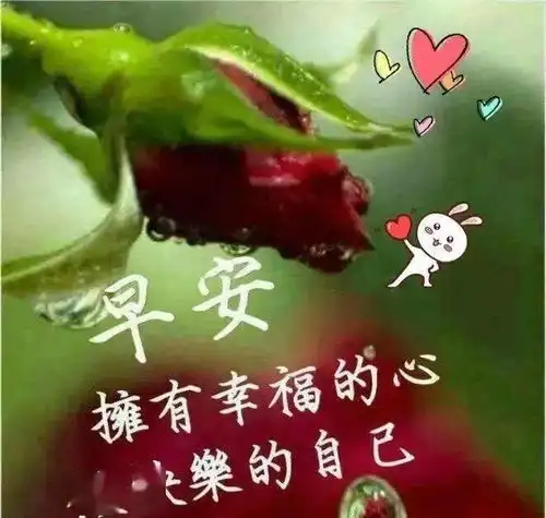 早上好正能量问候语愿我的问候,带给你幸福快乐