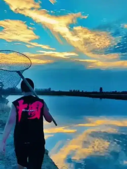 稻渔综合种养创业正能量向往的生活蟹塘上的日常生活,现在变得越来越害怕热闹,只想安安静静踏踏实实把螃蟹养好