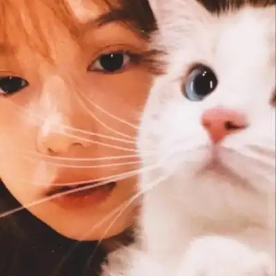 ins风微信头像