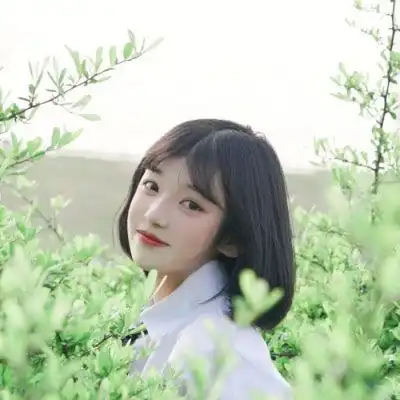 文艺森系小清新头像