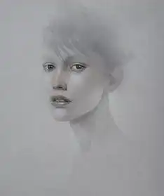 他用钢笔画的美女唯美忧伤,栩栩如生