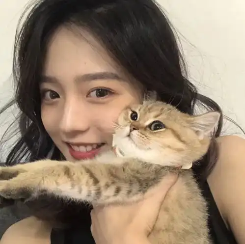 适合夜晚散步时发发动态的句子