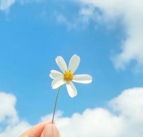 精辟现实的人生格言,直抵人心