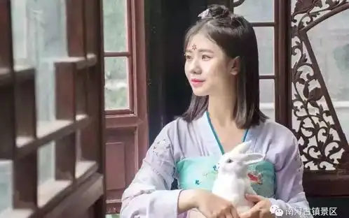 中秋天气如何高速怎么走你想知道的都在这里