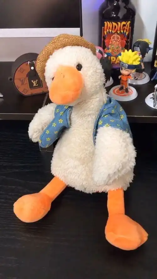 你看看闺蜜给我寄得沙雕鸭鸭,都把我小仙女的气质带偏了
