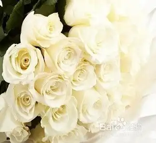情人节送什么花好
