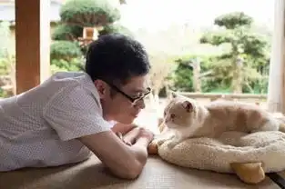 猫咪后院真人电影公开男女主剧照