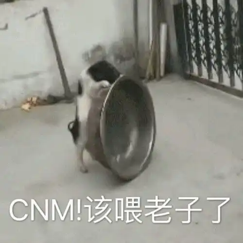 可爱又沙雕的小仙女文案