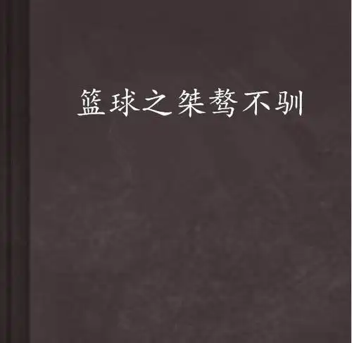 篮球之桀骜不驯