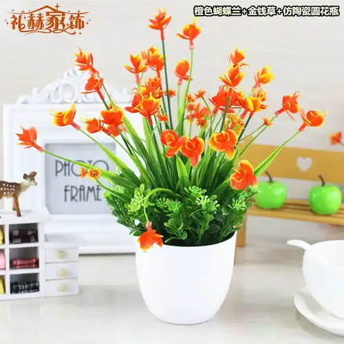 价格品牌推荐怎么样