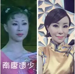 四十位最美春晚美女今昔对比照
