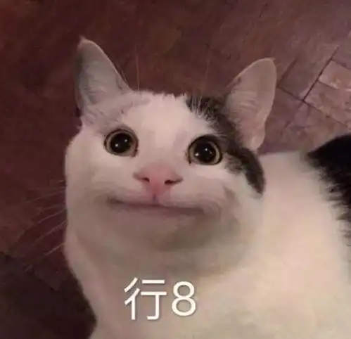 喂了两年都不让靠近的流浪猫冒着大雨来送餐,网友当着孩子面吃了吧,别伤了它的心