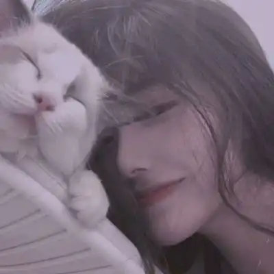 独二猫咪原宿风微信女生头像