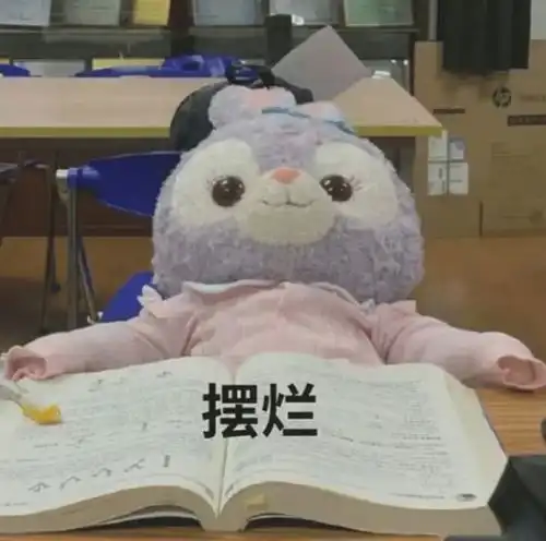 关晓彤热巴单身白敬亭白鹿合作冯绍峰赵丽颖刘亦菲