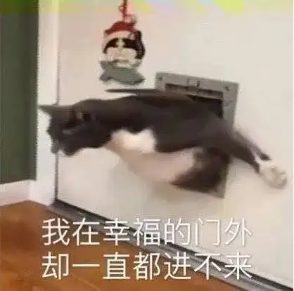 男子网恋女大学生,3个月转了4万多,最后发现女友竟是大舅子