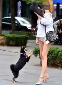 曾经,你对我说,遇见我是你的幸运,我能爱上你是你的福分