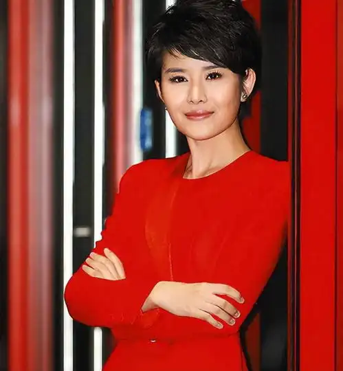 王宁从河北石家庄走出来的央视著名女主持人,男友在雾中迷路了