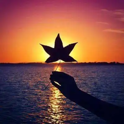 朋友圈里的浙理秋天,仅你可见