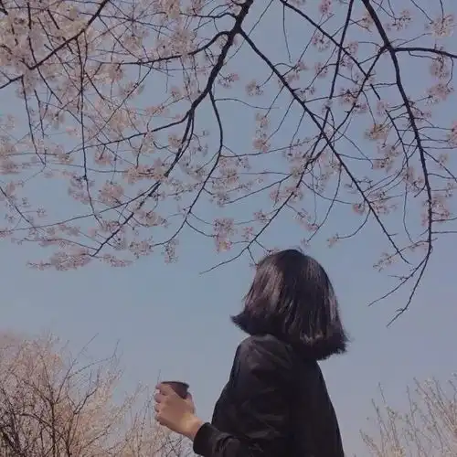 温暖走心的治愈系句子,值得珍藏
