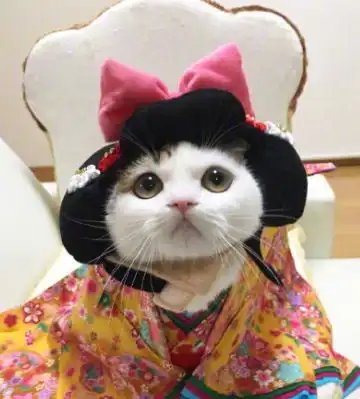 搞笑gif趣图美女,做个饭,你搞这么大的动作,真的不是一般人