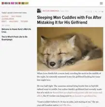 男子睡梦中误把狐狸当女友搂住缠绵一睁眼吓傻